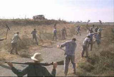 Chain gang (from Cool Hand Luke)